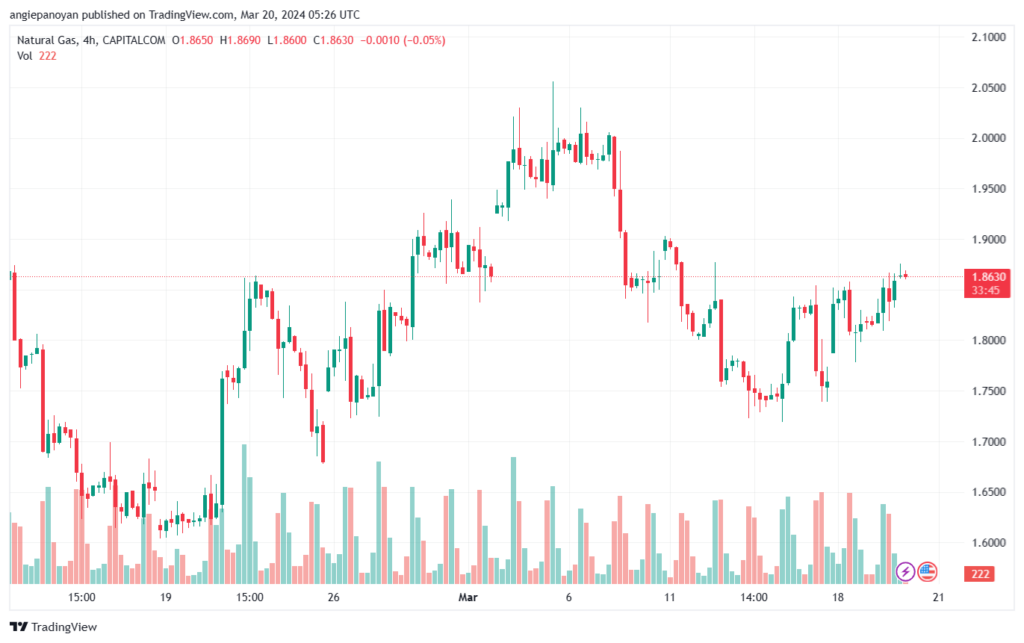 تحليل الغاز الطبيعي 2032024 NATURAL GAS