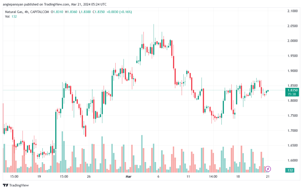 تحليل الغاز الطبيعي 2132024 NATURAL GAS