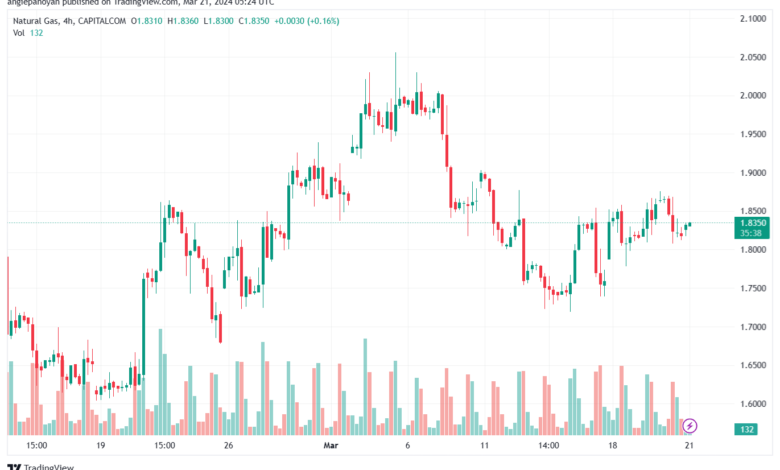 تحليل الغاز الطبيعي 2132024 NATURAL GAS