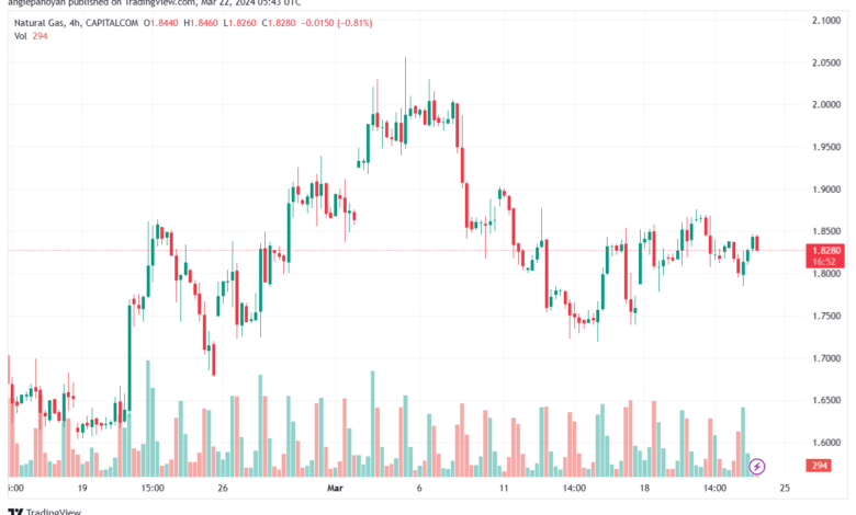 تحليل الغاز الطبيعي 2232024 NATURAL GAS