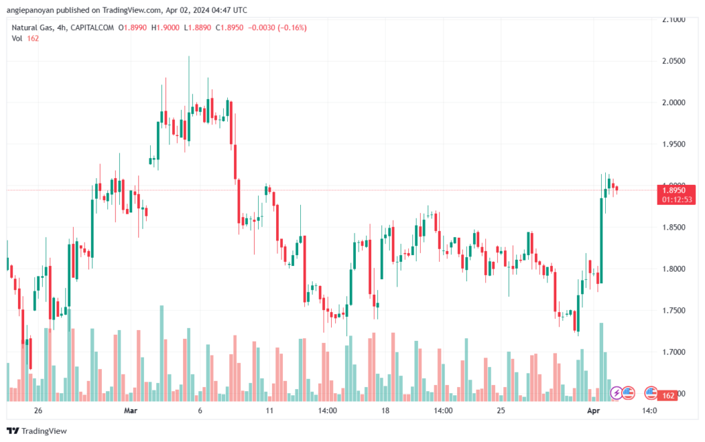 تحليل الغاز الطبيعي 242024 NATURAL GAS