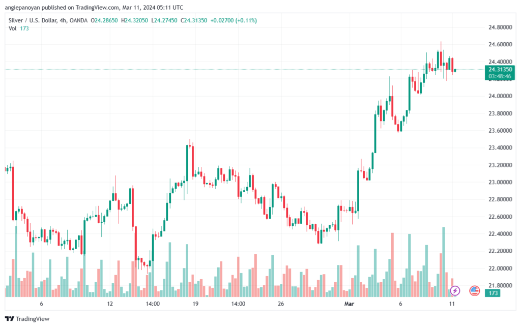 تحليل الفضة 1132024 SILVER XAGUSD