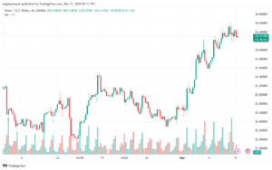 تحليل الفضة 1132024 SILVER XAGUSD