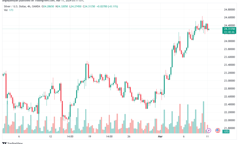 تحليل الفضة 1132024 SILVER XAGUSD