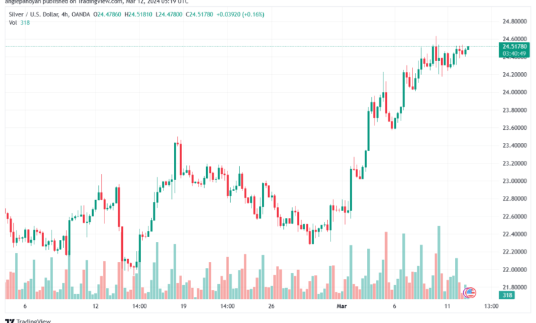 تحليل الفضة 1232024 SILVER XAGUSD