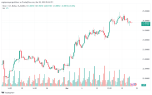 تحليل الفضة 2032024 SILVER XAGUSD