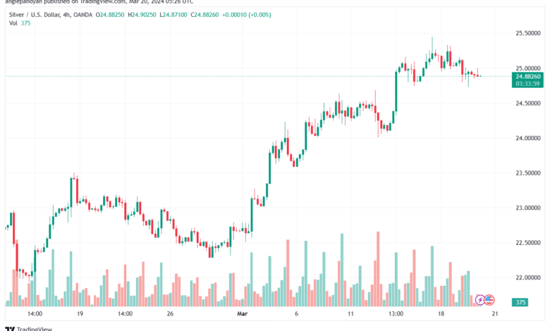 تحليل الفضة 2032024 SILVER XAGUSD