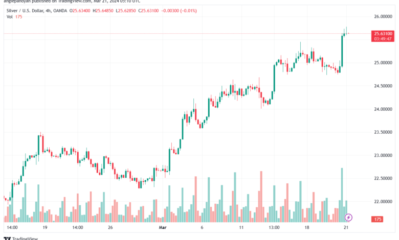 تحليل الفضة 2132024 SILVER XAGUSD