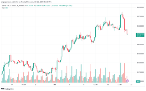 تحليل الفضة 2232024 SILVER XAGUSD