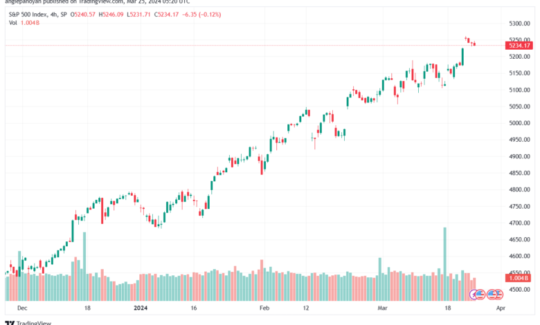 تحليل ستاندرد آند بورز 2532024 S&P 500