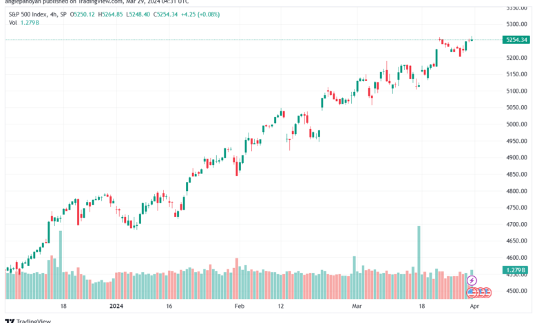 تحليل ستاندرد آند بورز 2932024 S&P 500
