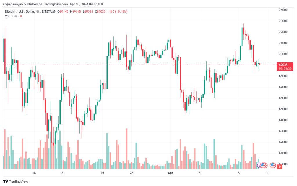 تحليل البتكوين دولار BTCUSD - 1042024