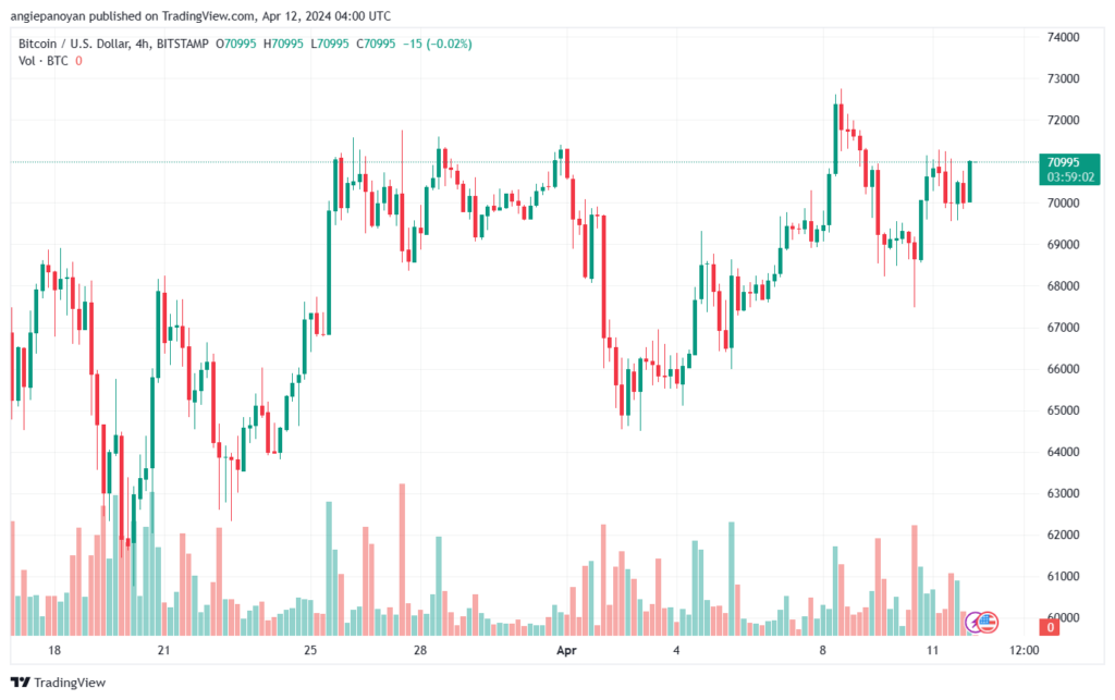 تحليل البتكوين دولار BTCUSD - 1242024