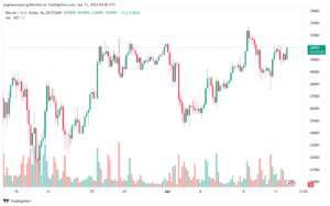 تحليل البتكوين دولار BTCUSD - 1242024