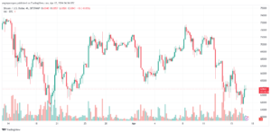 تحليل البتكوين دولار BTCUSD - 1742024