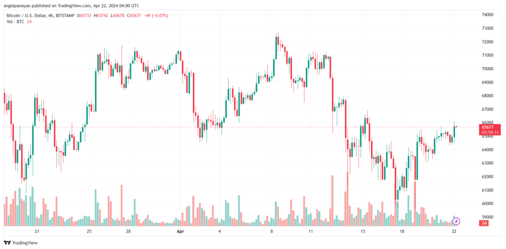 تحليل البتكوين دولار BTCUSD - 2242024