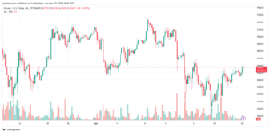 تحليل البتكوين دولار BTCUSD - 2242024