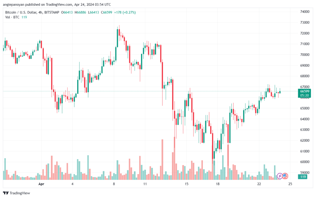 تحليل البتكوين دولار BTCUSD - 2442024