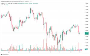 تحليل البتكوين دولار BTCUSD - 2542024