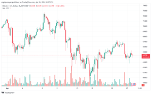 تحليل البتكوين دولار BTCUSD - 2642024