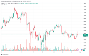 تحليل البتكوين دولار BTCUSD - 3042024