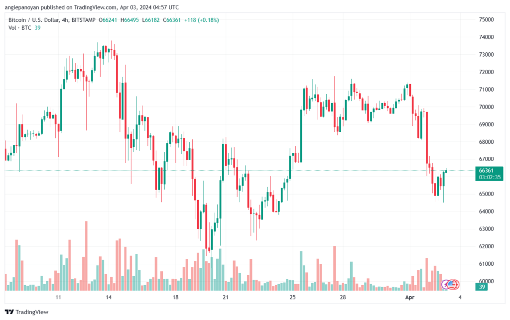 تحليل البتكوين دولار BTCUSD - 342024