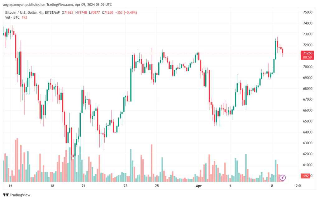 تحليل البتكوين دولار BTCUSD - 942024