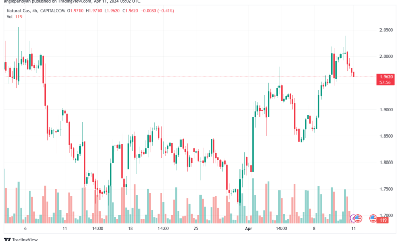 تحليل الغاز الطبيعي 1142024 NATURAL GAS
