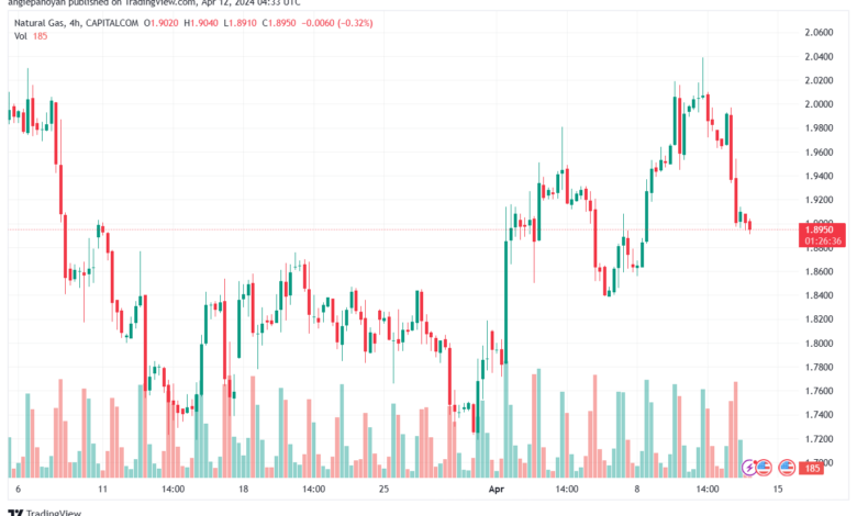 تحليل الغاز الطبيعي 1242024 NATURAL GAS