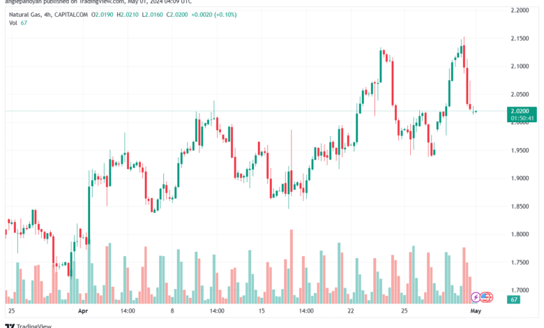 تحليل الغاز الطبيعي 152024 NATURAL GAS