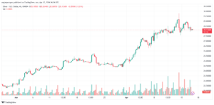تحليل الفضة 1742024 SILVER XAGUSD