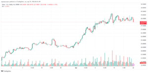 تحليل الفضة 2242024 SILVER XAGUSD