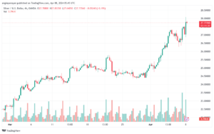تحليل الفضة 842024 SILVER XAGUSD