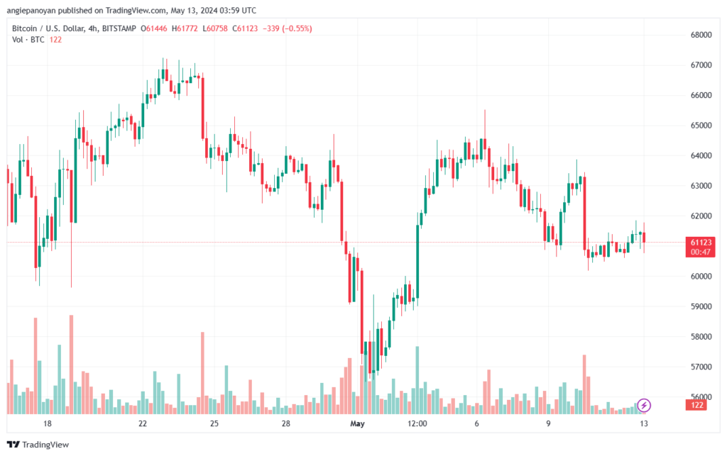 تحليل البتكوين دولار BTCUSD-13-5-2024
