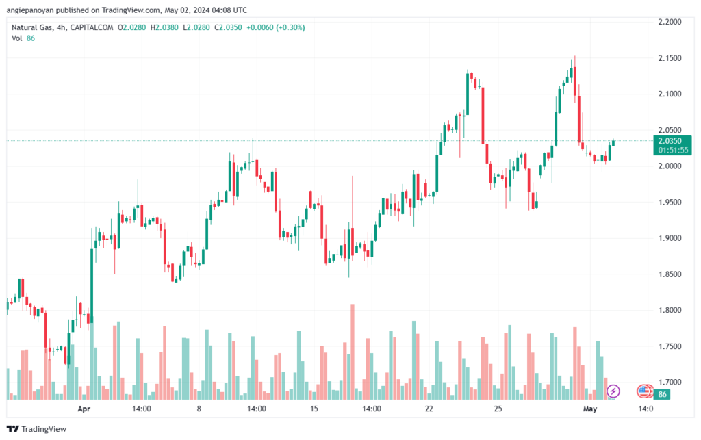 تحليل الغاز الطبيعي 252024 NATURAL GAS