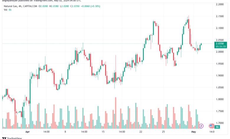 تحليل الغاز الطبيعي 252024 NATURAL GAS