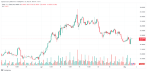 تحليل الفضة 352024 SILVER XAGUSD