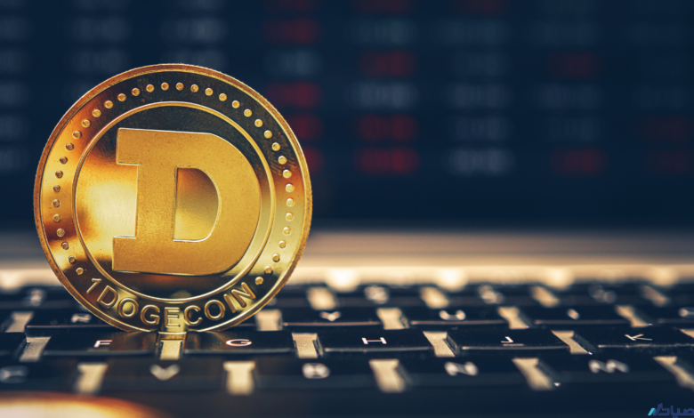 فهم الدودجكوين بعمق استراتيجيات لربح طويل الأمد