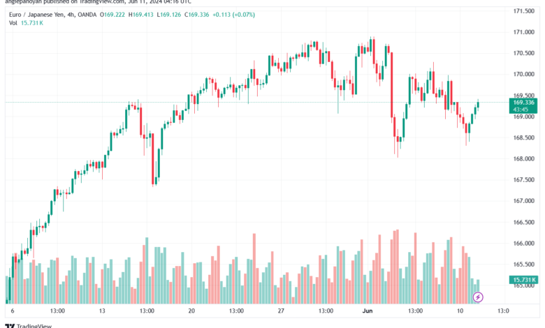 تحليل-EURJPY-11-6-2024