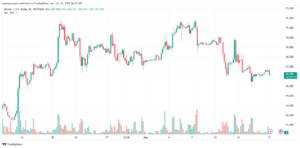 تحليل البتكوين دولار BTCUSD-17-6-2024