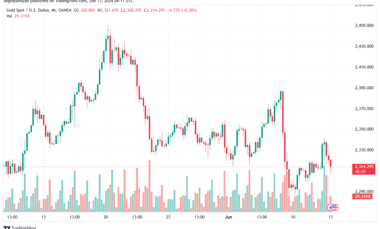تحليل الذهب-XAUUSD-13-6-2024