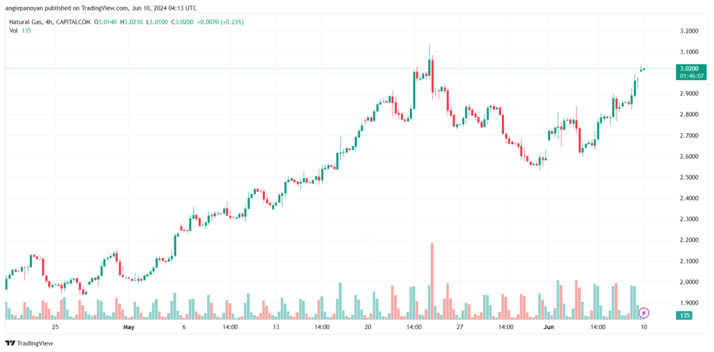 تحليل الغاز الطبيعي 10-6-2024 NATURAL GAS
