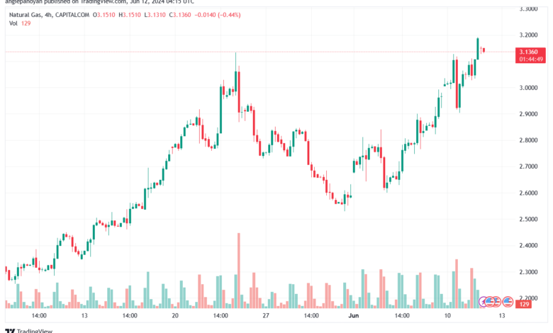 تحليل الغاز الطبيعي 12-6-2024 NATURAL GAS