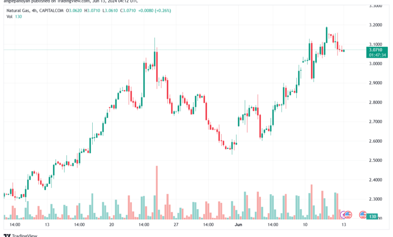 تحليل الغاز الطبيعي 13-6-2024 NATURAL GAS