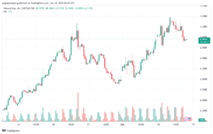 تحليل الغاز الطبيعي 14-6-2024 NATURAL GAS