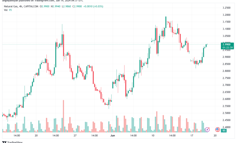 تحليل الغاز الطبيعي 19-6-2024 NATURAL GAS