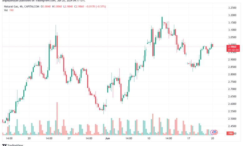 تحليل الغاز الطبيعي 20-6-2024 NATURAL GAS