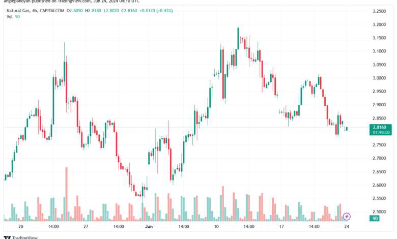 تحليل الغاز الطبيعي 24-6-2024 NATURAL GAS