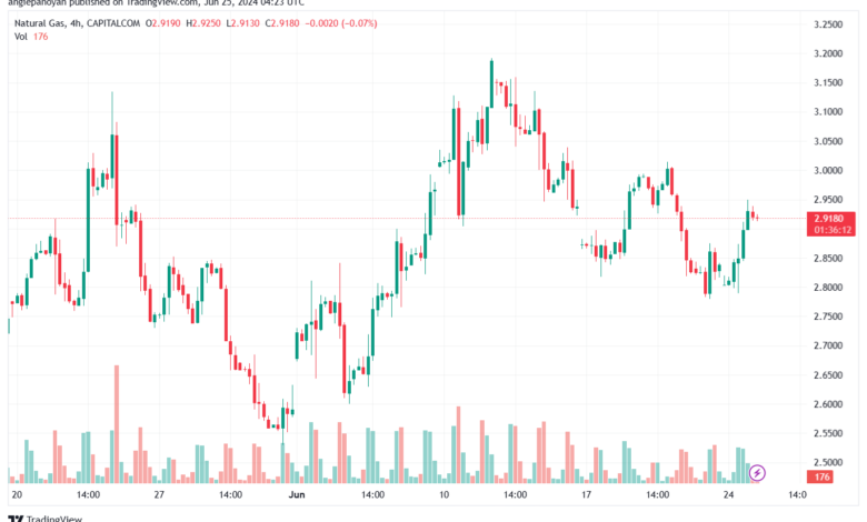 تحليل الغاز الطبيعي 25-6-2024 NATURAL GAS
