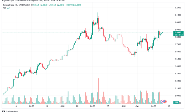 تحليل الغاز الطبيعي 7-6-2024 NATURAL GAS